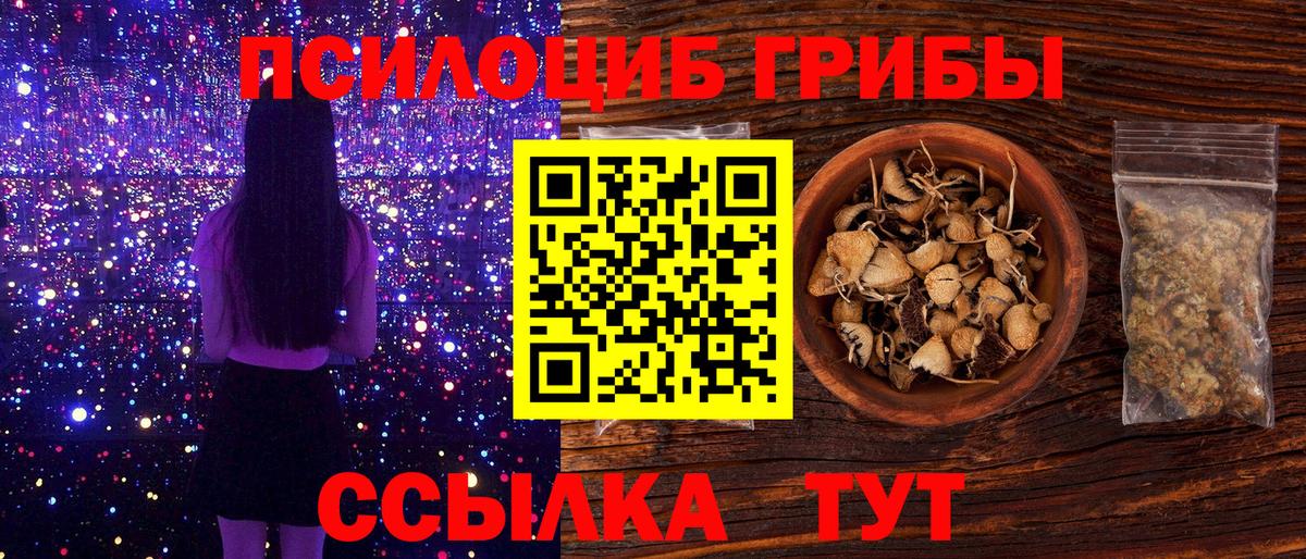 Галлюциногенные грибы Psilocybine cubensis  Вход с VPN  Саянск 